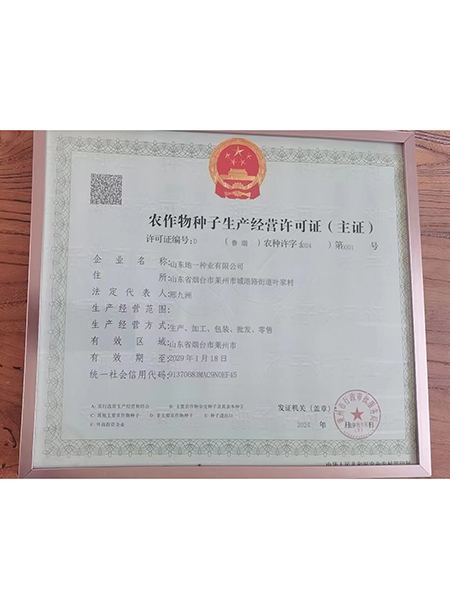 地一資質(zhì)榮譽.jpg